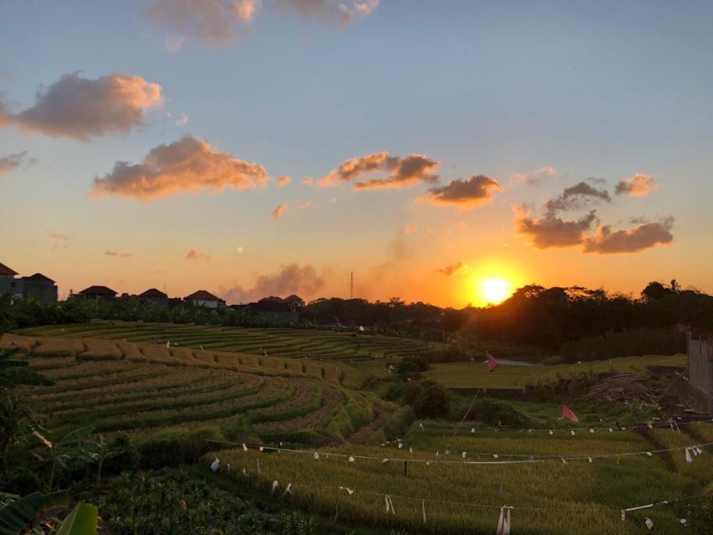 Alunan Villa - Canggu Dış mekan fotoğraf